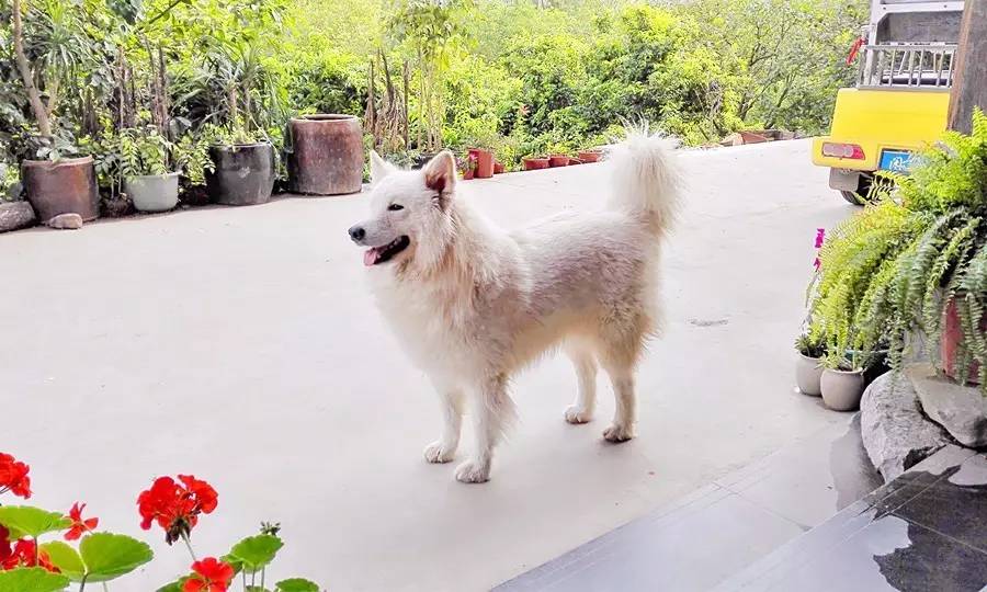 元宝山下,山水云间,悠悠闲云时光,恰好那时我也在