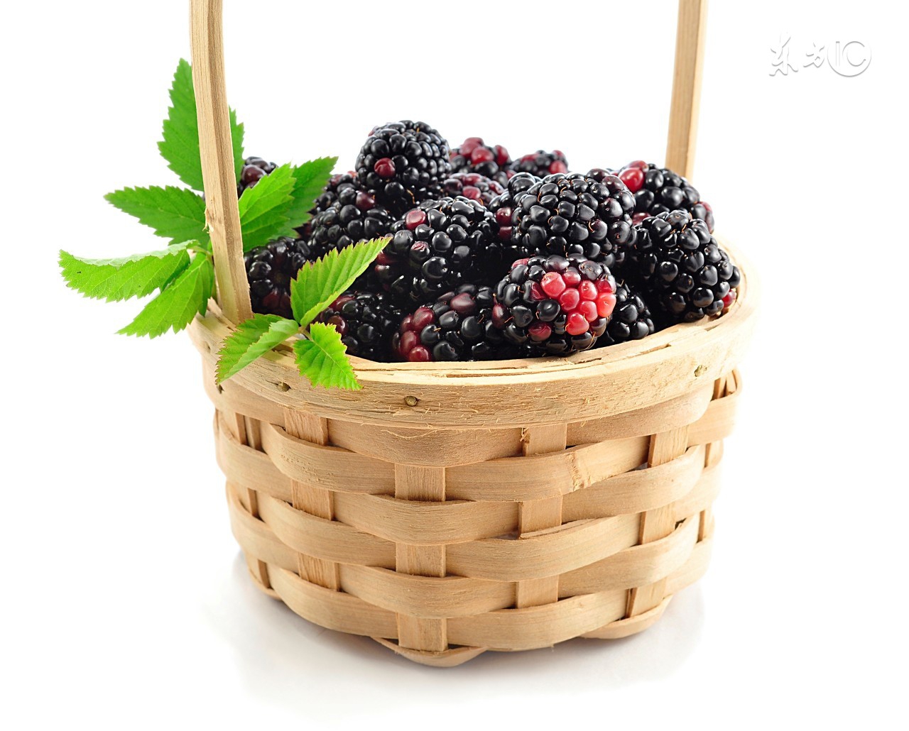 肾虚有哪些水果不能吃,肾亏吃什么菜补得最快