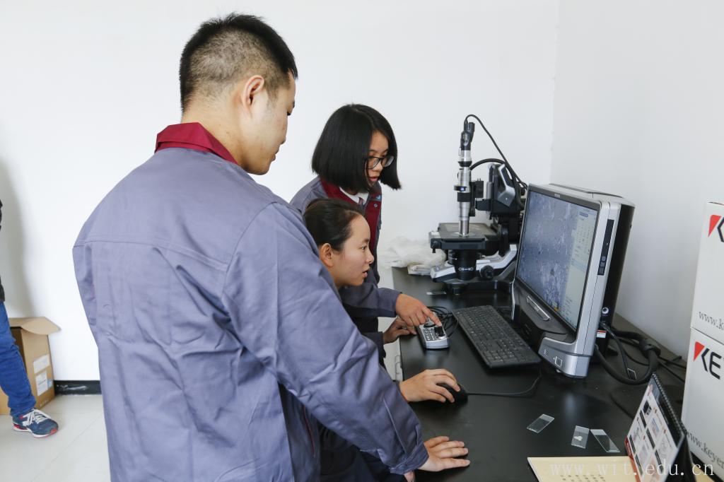 武汉理工大学材料工程研究生咋样,武汉工程科技学院考研率