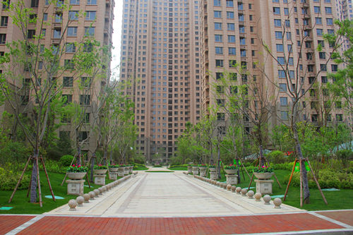 莱芜世纪城四期户型图,莱芜世纪城四期开盘什么价格