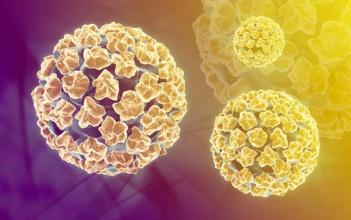 宫颈上皮内瘤变3级是恶性肿瘤吗,低度上皮内瘤变hpv阳性是宫颈癌吗