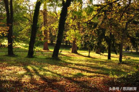 不要被名字骗了——比如雅思