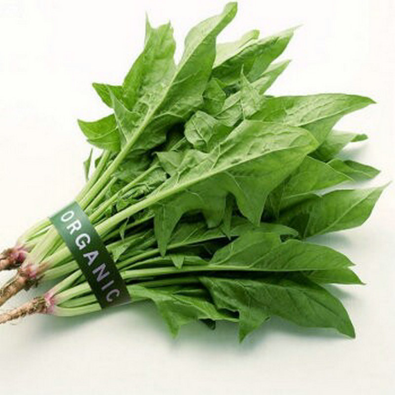 怀孕前三个月注意事项和生活禁忌,怀孕前三个月孕妈应注意什么事项