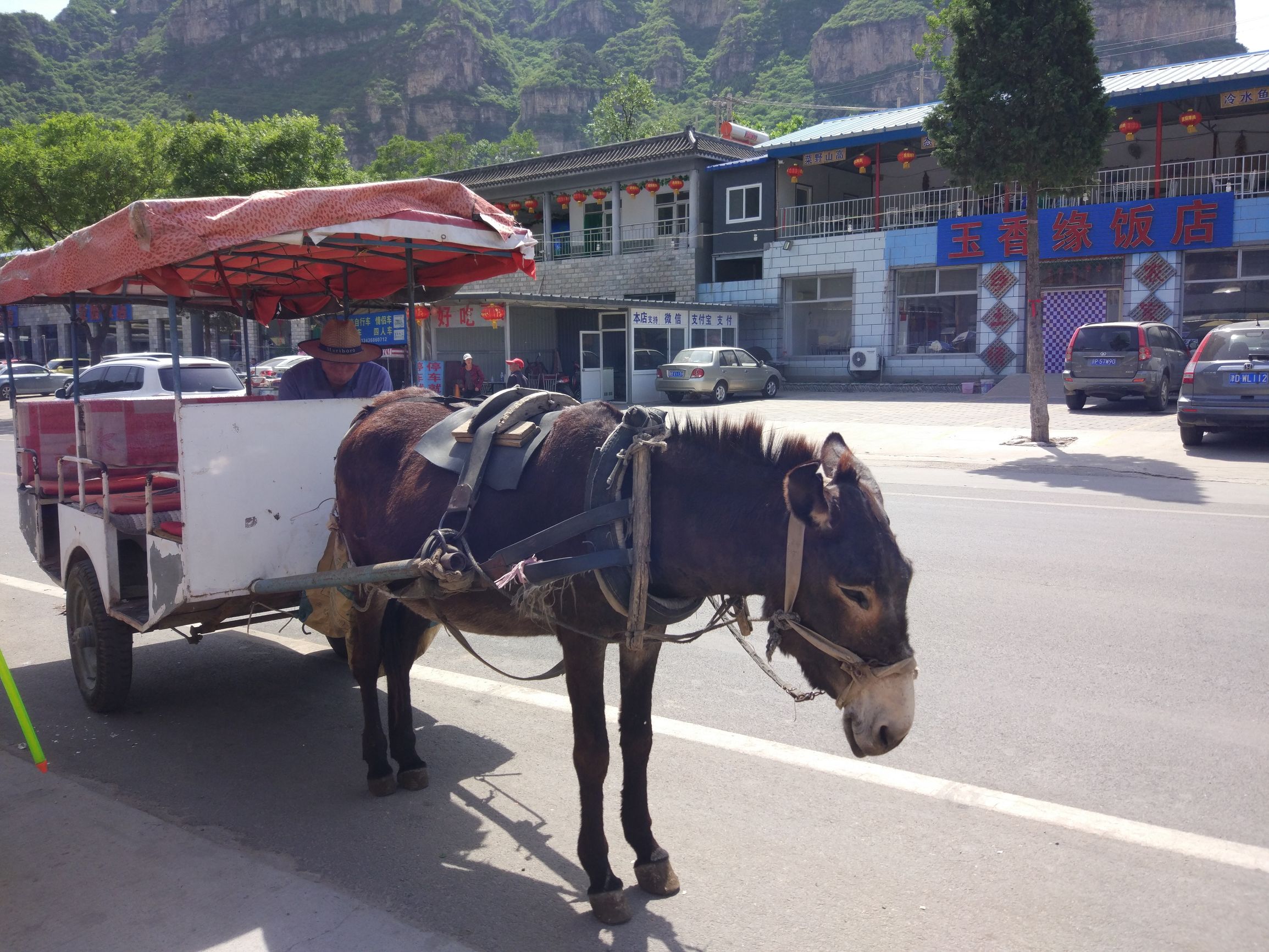 十渡一日游跟团游,十渡蹦极多少钱一日游