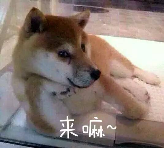 一琴一录音｜天一掌门正儿八经的古琴评测~