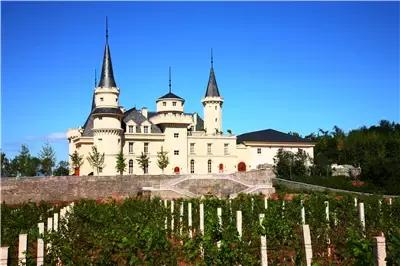 一组张裕爱斐堡酒庄实景图,蓝裕文化