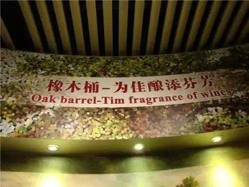 一组张裕爱斐堡酒庄实景图,蓝裕文化