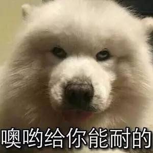 盘点送奇葩礼物,盘点奇葩人送的奇葩礼物