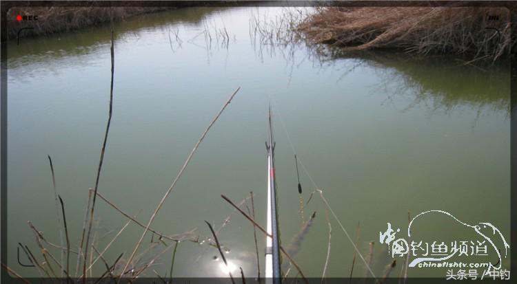 放流才有路亚的乐趣,放流能让资源更丰富