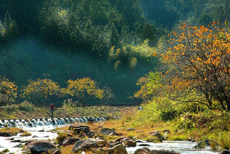 万梓良客家哪里人,万梓良祖籍广东宝安什么村