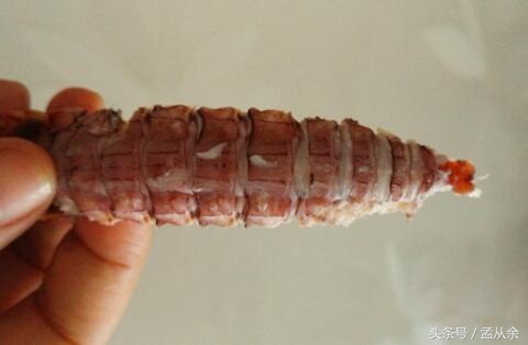 煮几分钟的爬虾最好剥,剥爬虾的正确方法视频