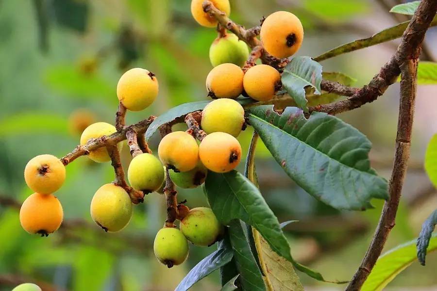 元宝山下,山水云间,悠悠闲云时光,恰好那时我也在