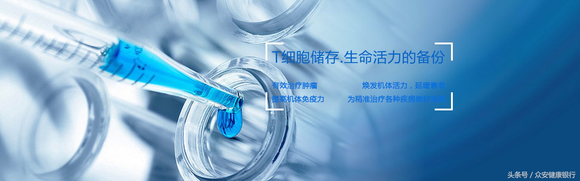 CAR-T疗法适用于哪些癌症,前景可观的car-t疗法