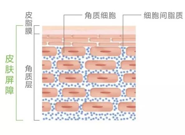 一失足成千古恨我该怎么办,一失足成千古恨意味着什么