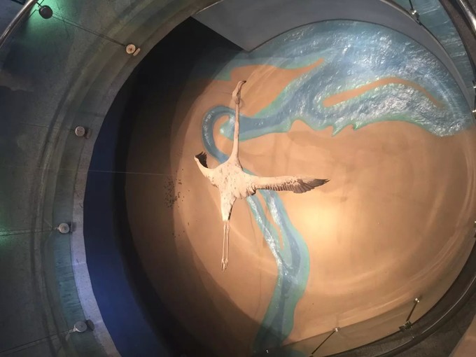 一个人穷游中国迪拜游记,迪拜穷游自由行攻略