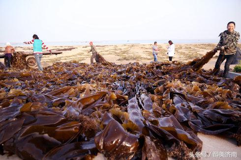实拍:被俄罗斯美女帅哥酷爱的中国房车是什么样子
