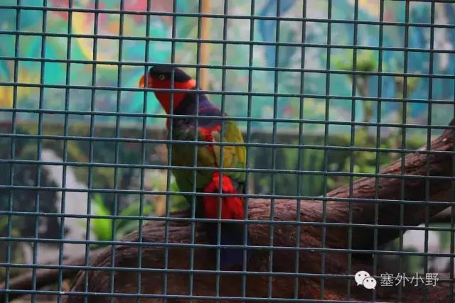 新加坡必备攻略,新加坡全程地铁游玩