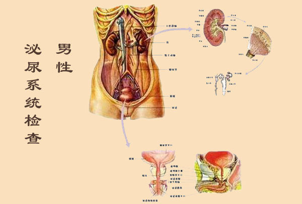 备孕必做检查准爸准妈千万别忽略,孕前优生优育检查项目有哪些