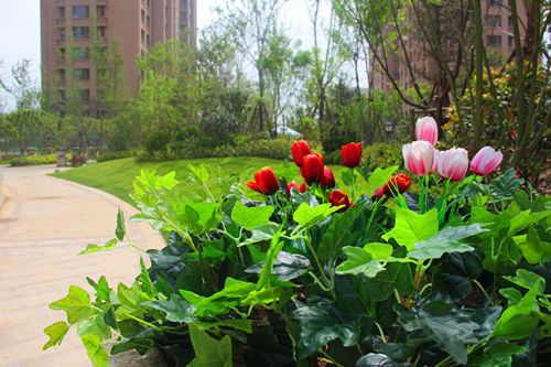 莱芜世纪城四期户型图,莱芜世纪城四期开盘什么价格