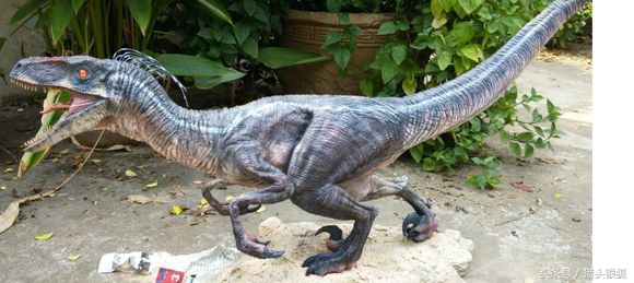 恐龙灭亡真相揭秘,各类恐龙生活的年代及灭亡时间