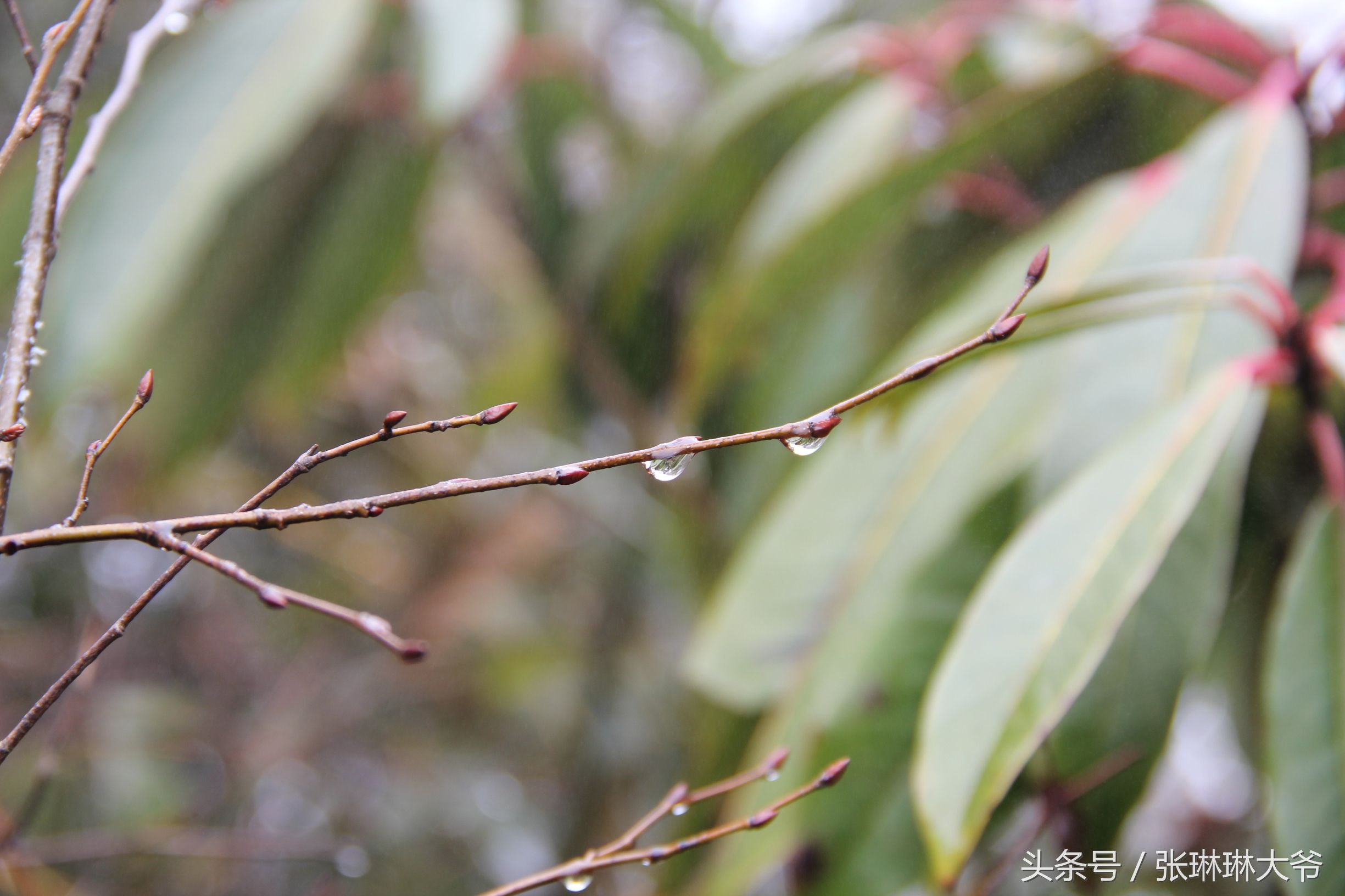 北京姑娘徒步完整视频,北京姑娘旅行
