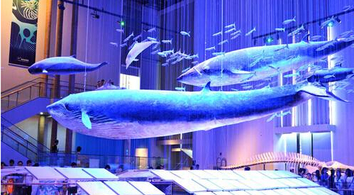 常州恐龙园附近高档酒店,常州桔子水晶酒店恐龙园店