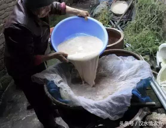 天然的血管支架,被称为血管天然支架的药材是