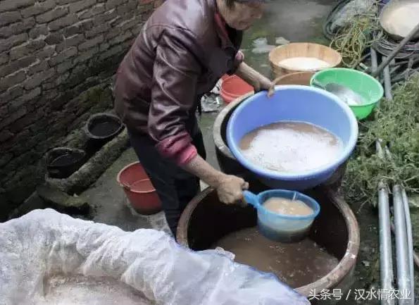 天然的血管支架,被称为血管天然支架的药材是