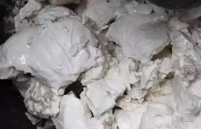 天然的血管支架,被称为血管天然支架的药材是