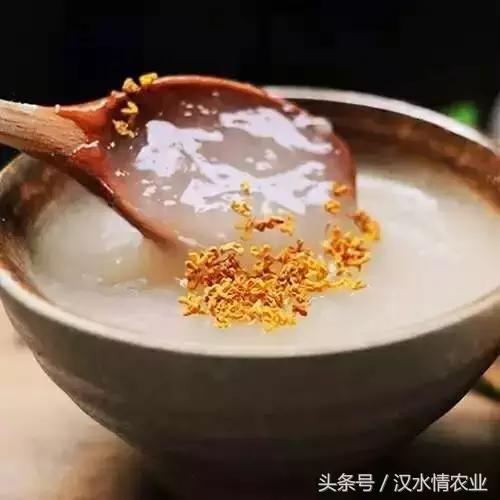 天然的血管支架,被称为血管天然支架的药材是