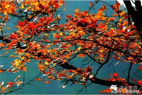 清远连州十大最好玩的景点,连州古城古村风景