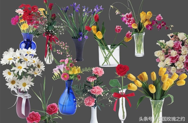 如何延长鲜切花花期,弗朗鲜切花花期长吗