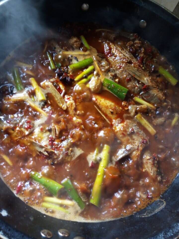 户外钓获最大鲫鱼,野钓擒获一尾九斤大鲫鱼