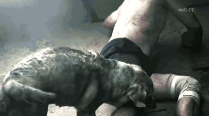 26种新死法电影完整版,二十六种死法电影完整版