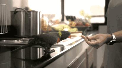 26种新死法电影完整版,二十六种死法电影完整版