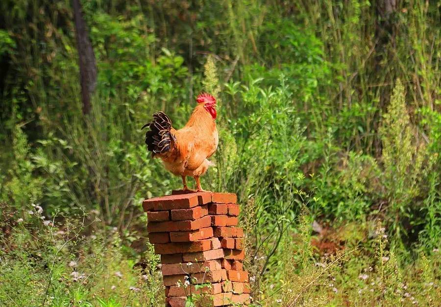 元宝山下,山水云间,悠悠闲云时光,恰好那时我也在