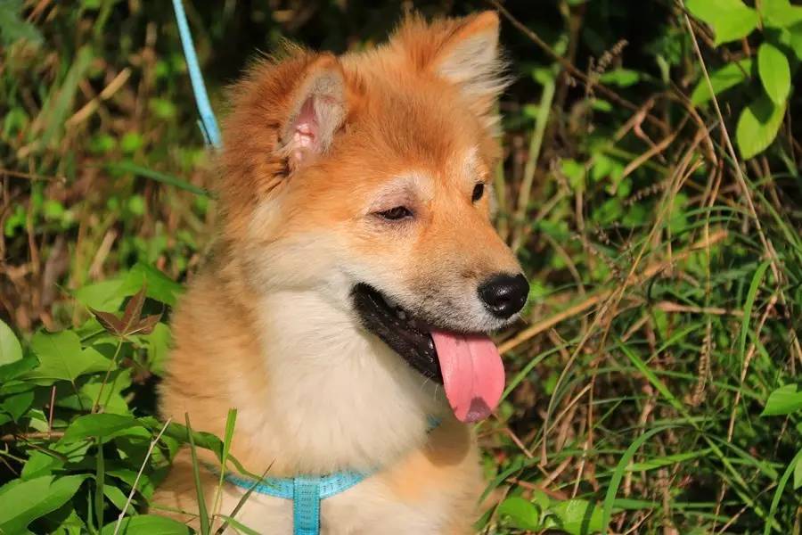 元宝山下,山水云间,悠悠闲云时光,恰好那时我也在