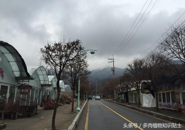 中日韩vs亚洲其他国家,中日韩比拼