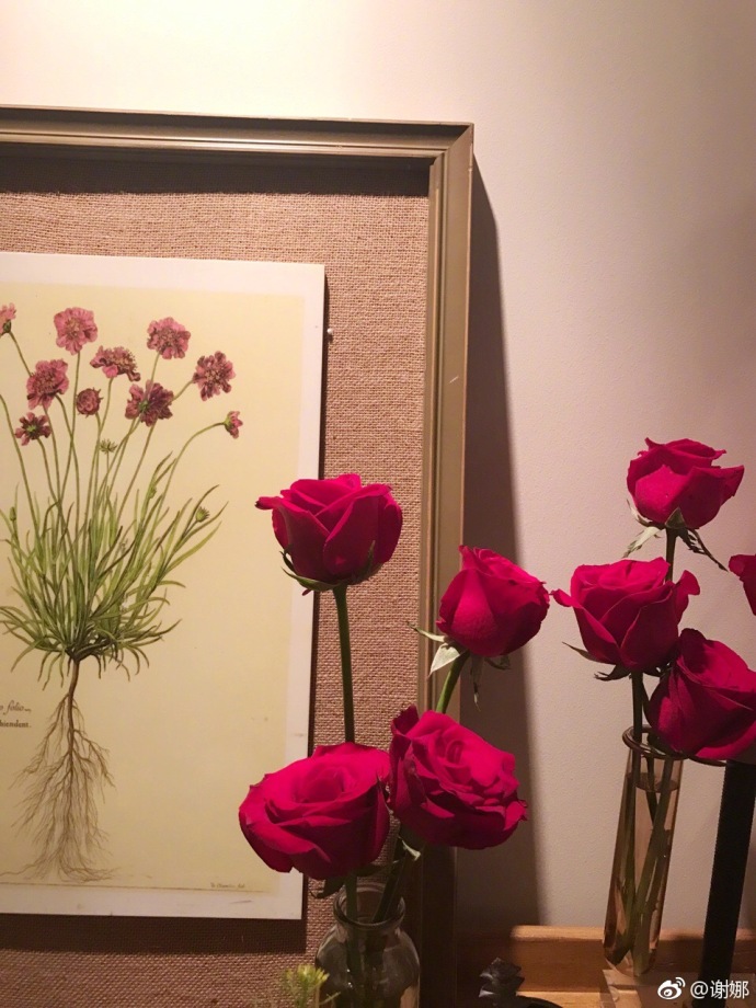 谢娜生日张杰送了她什么,谢娜生日张杰送什么礼物