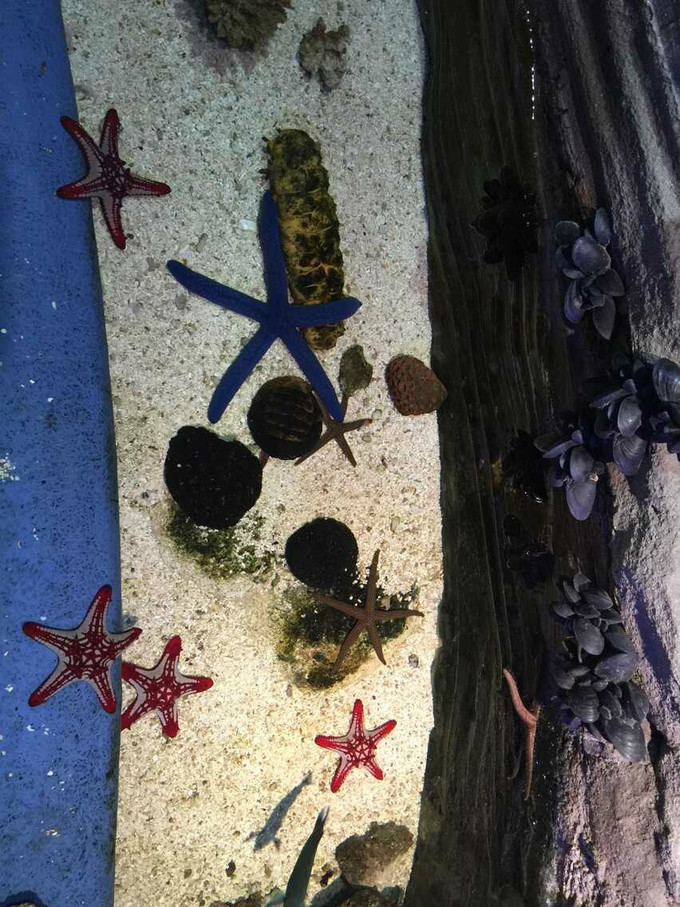 一个人穷游中国迪拜游记,迪拜穷游自由行攻略