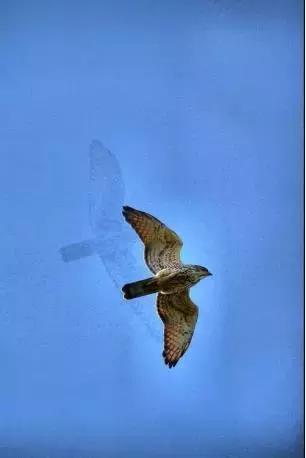 松下相机镜头固件升级,xc35f2镜头固件升级