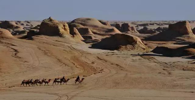 五月开始新的旅程,西北大漠驼铃
