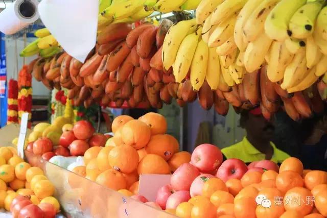 新加坡必备攻略,新加坡全程地铁游玩