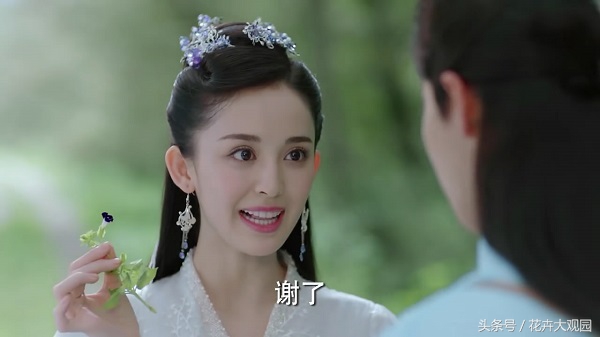 发财树吃多了竟然可以升仙？导演，我读书少你不要骗我！