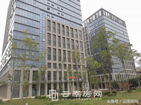 昆明东盟森林房价,东盟森林二手房价