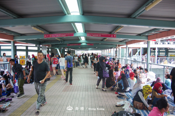 香港4天3夜亲子旅游攻略,香港4天3夜怎么玩