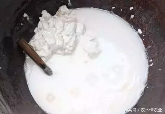 天然的血管支架,被称为血管天然支架的药材是