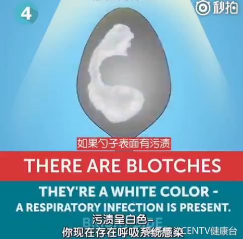 一个勺子,花一分钟知道你身体好不好