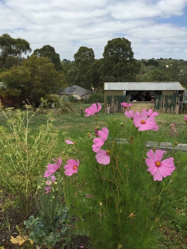华德福学校适合什么孩子,怎么看待华德福教育模式