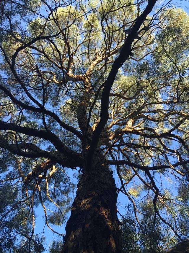 华德福学校适合什么孩子,怎么看待华德福教育模式